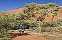 SEIT Uluru Trek